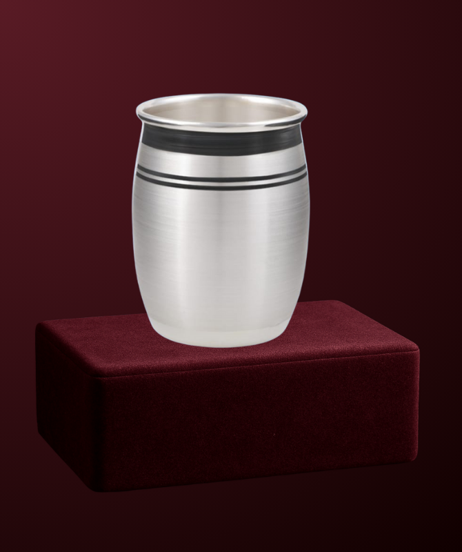 Silver Tumbler with Dual Black Line Design