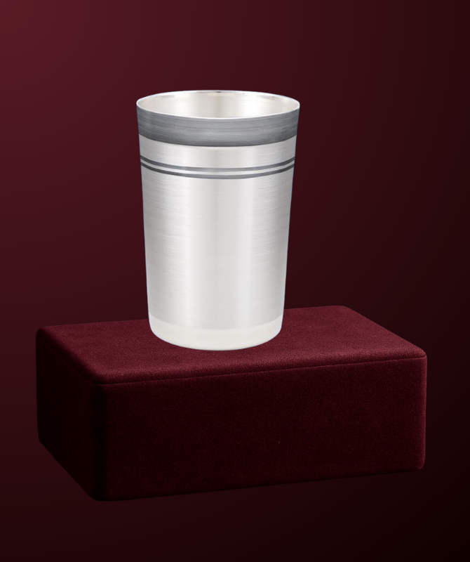 Classic Silver Tumbler with Dual Line Design
